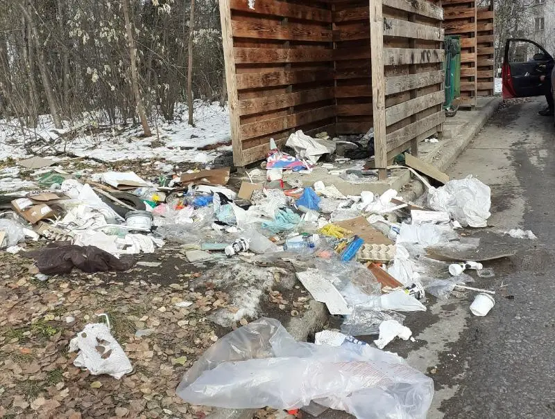 В Академгородке жители нескольких домов по улице Ильича сообщили о некачественном вывозе мусора с придомовой территории.