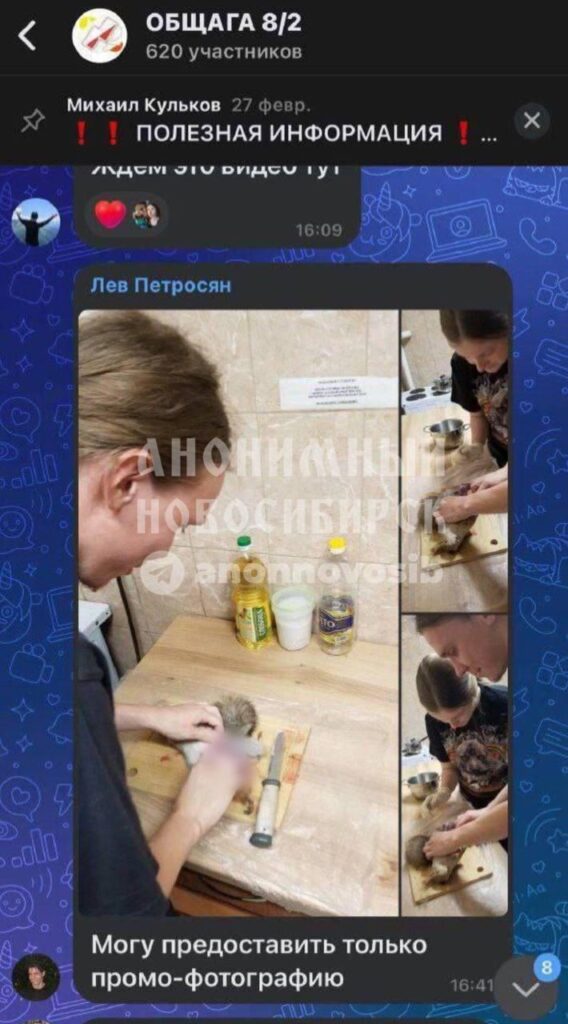 В социальных сетях распространились фотографии и видеозаписи, на которых студенты Новосибирского государственного университета разделывают тушку белки. После публикации снимков в Telegram-канале Mash Siberia кадры вызвали сильный общественный резонанс и обвинения в жестокости по отношению к животным.