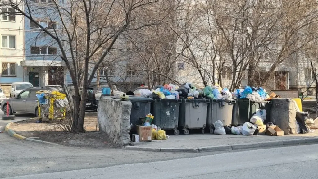 В Новосибирской области объявили планы на 2026 год: шесть библиотек будут полностью модернизированы в рамках национальных проектов «Культура» и «Семья». Об этом стало известно 10 октября на пресс-конференции, приуроченной ко Всероссийскому дню чтения.